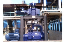 Screw pump industry