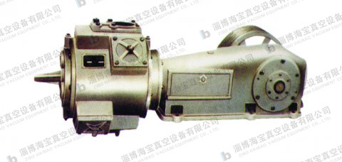 W.WY reciprocating vacuum pump