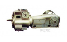 W.WY reciprocating vacuum pump