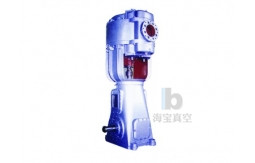 WL reciprocating vacuum pump